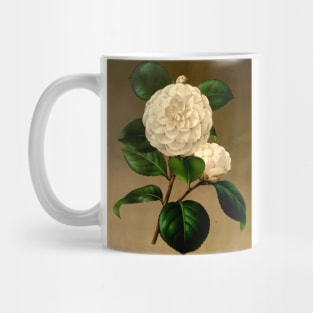 White flower on a brown background. Mug